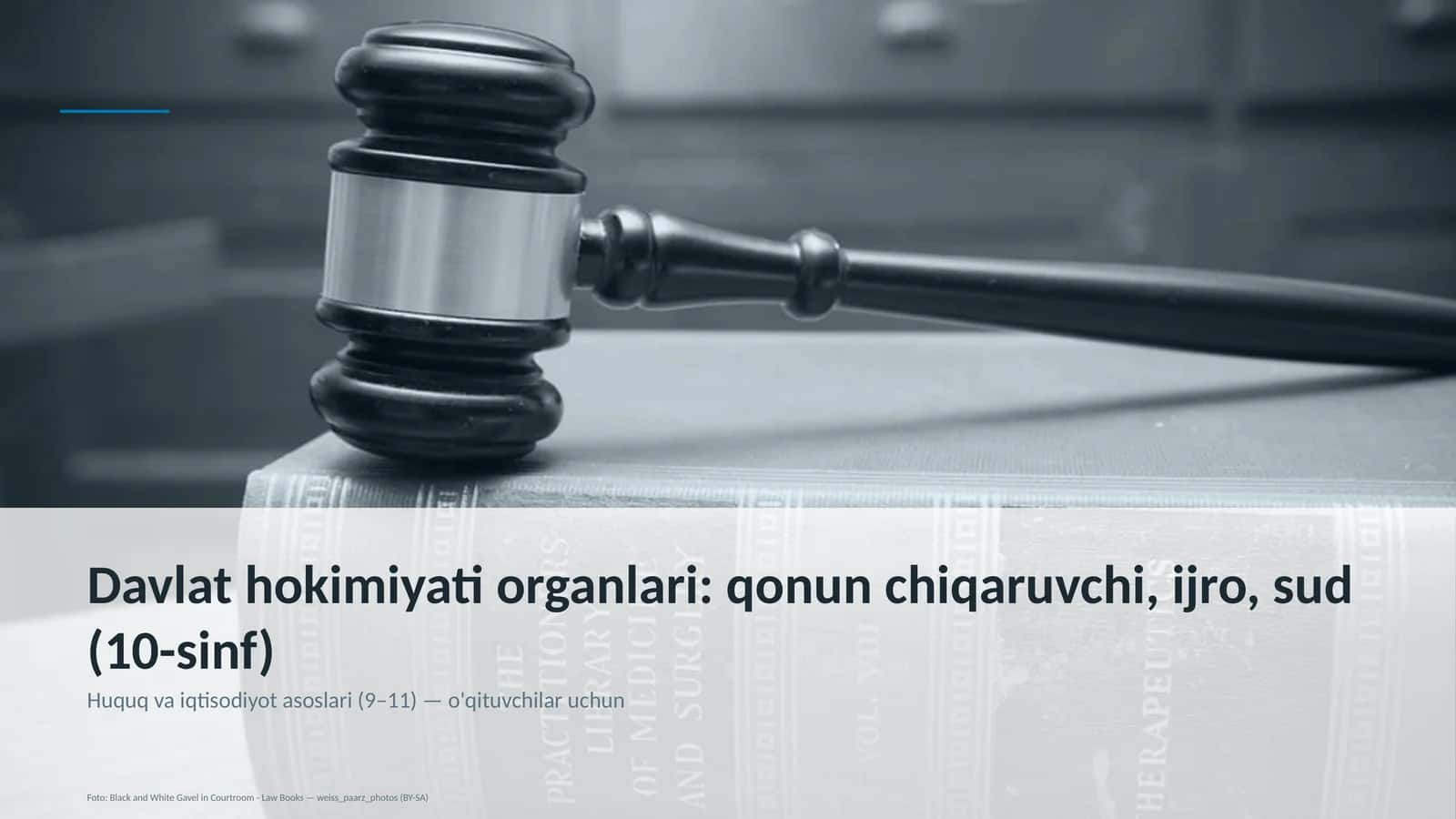 Davlat hokimiyati organlari: qonun chiqaruvchi, ijro, sud (10-sinf)