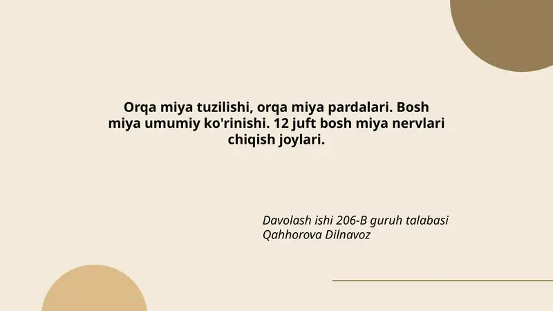 Orqa miya tuzilishi, orqa miya pardalari