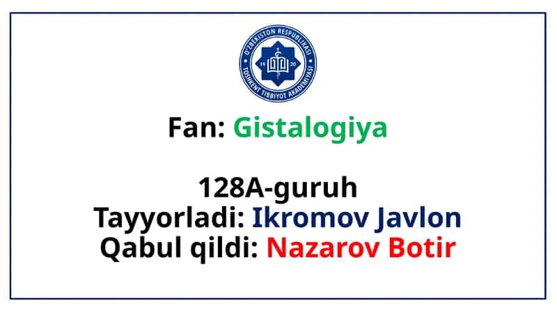 Qon  tomir endoteliyasining funksiyalari