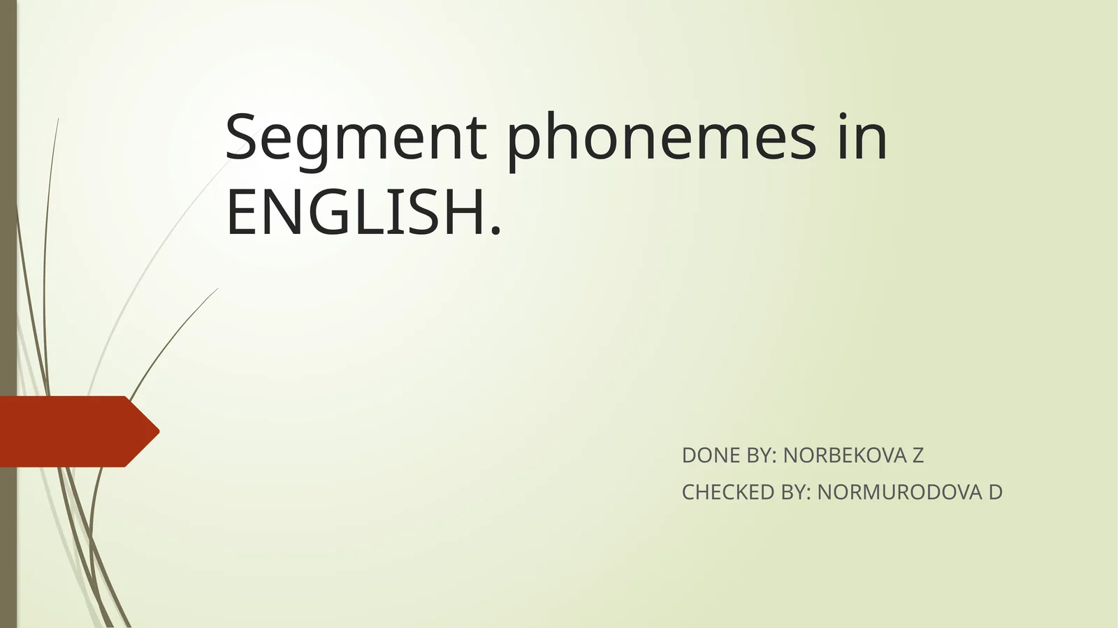 Segment phonemes in ENGLISH