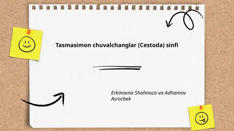 Tasmasimon chuvalchanglar (Cestoda) sinfi