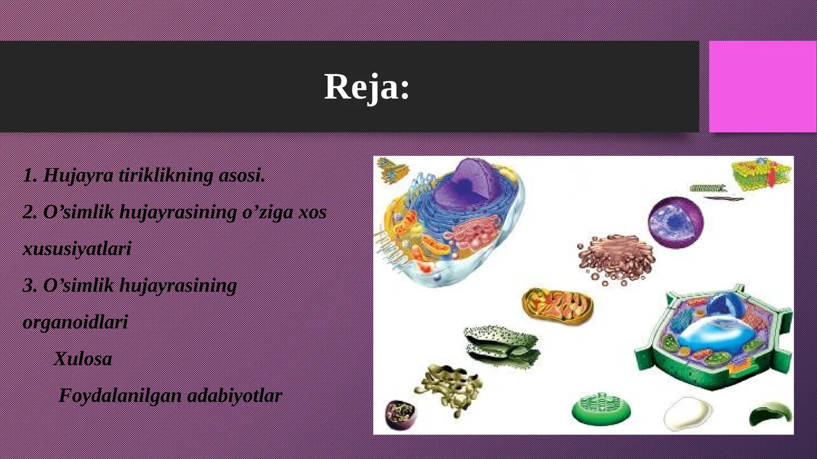 5-sinf Botanika fanidan dars ishlanma. Hujayra - tiriklikning asosi