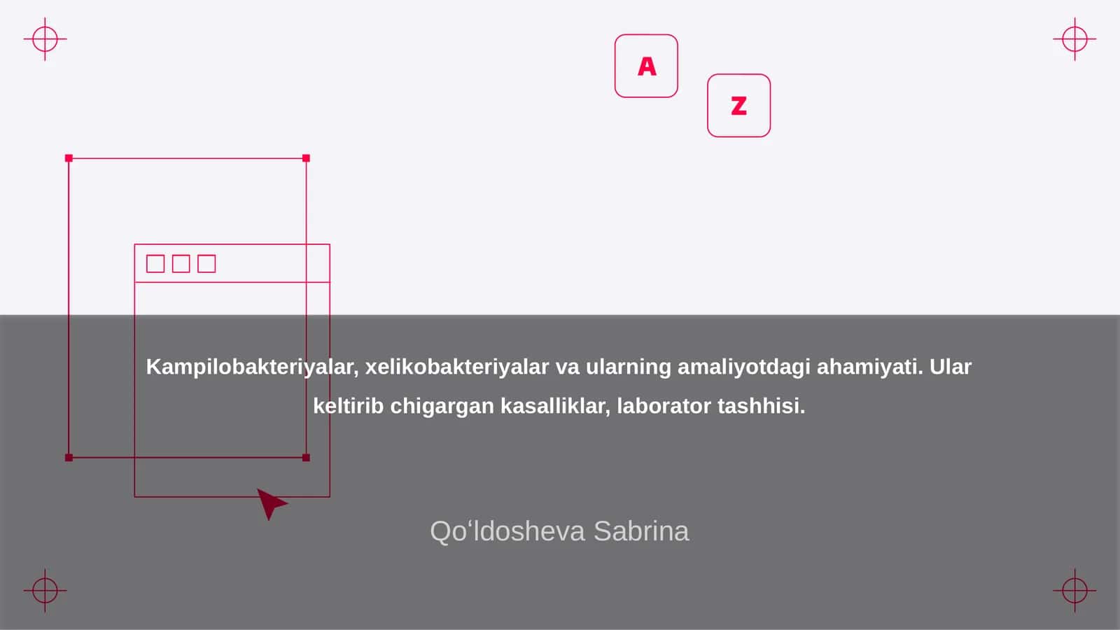 Kampilobakteriyalar va xelikobakteriyalar: umumiy ma'lumotlar