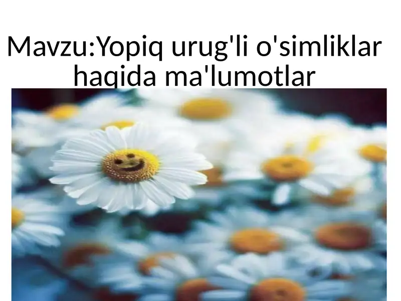Amir Temurning davlat chegaralarini mustahkamlashi