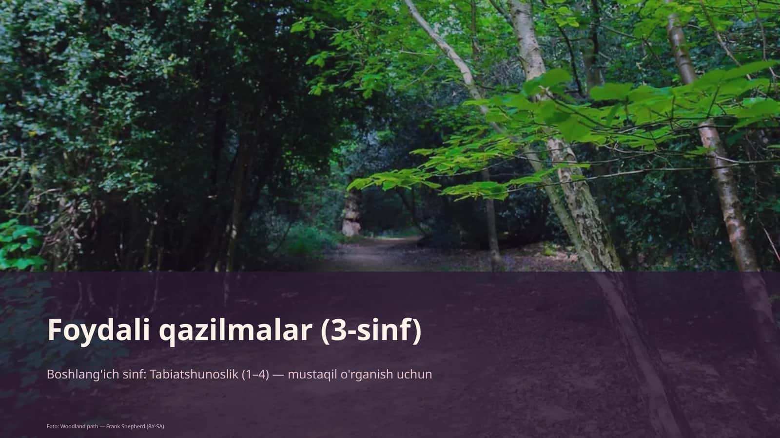 Foydali qazilmalar (3-sinf)