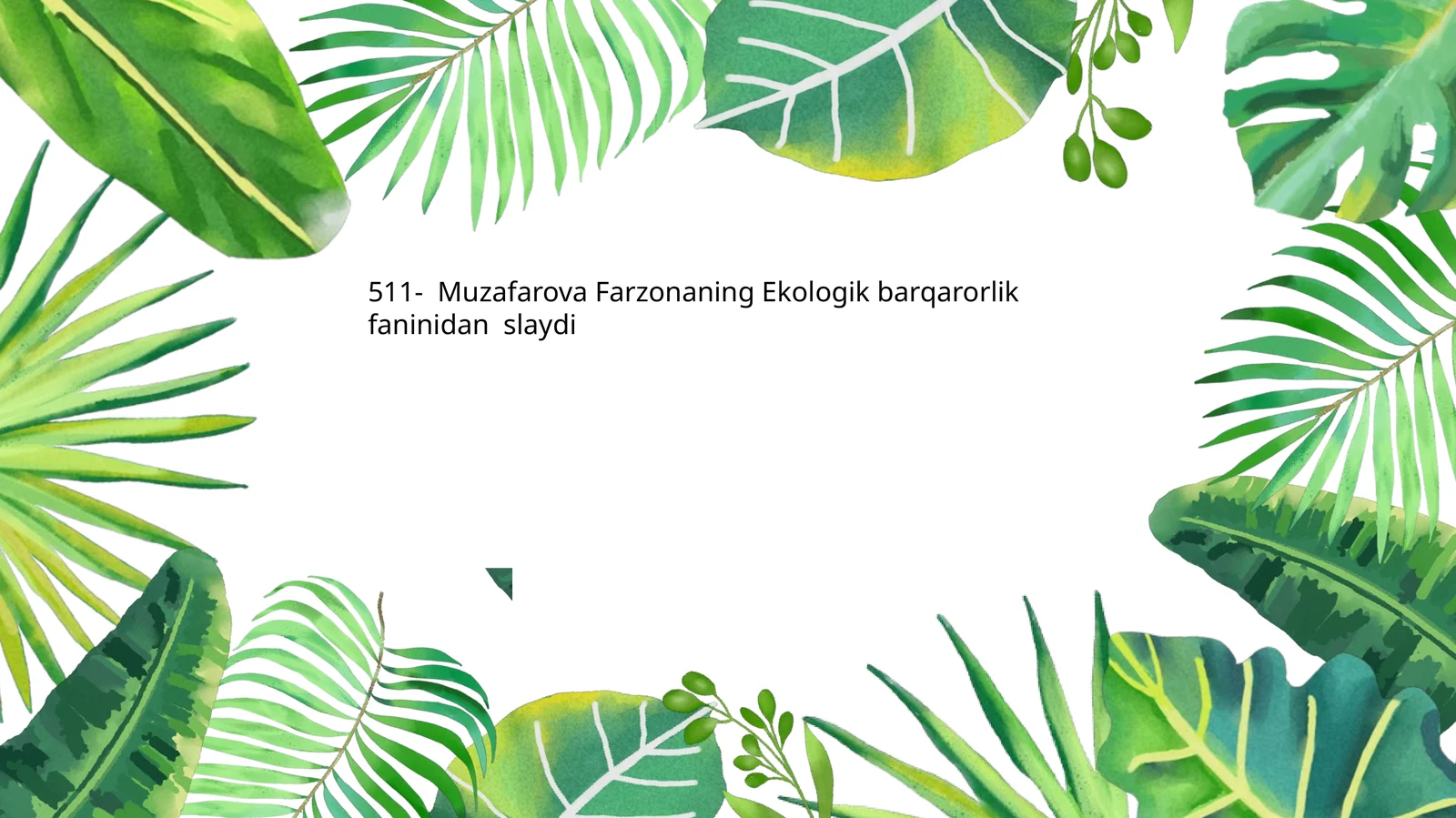 Muzafarova Farzonaning Ekologik barqarorlik faninidan slaydi