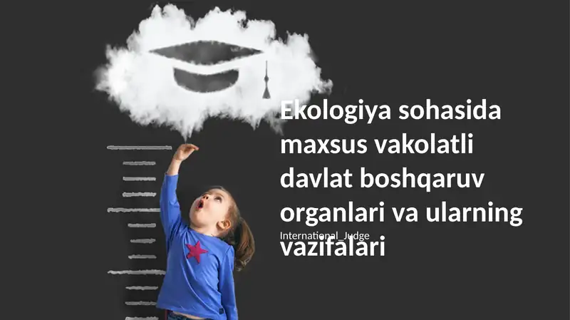 Ekologiya sohasida maxsus vakolatli davlat boshqaruv organlari va ularning vazifalari