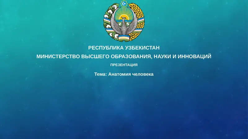 Анатомия человека