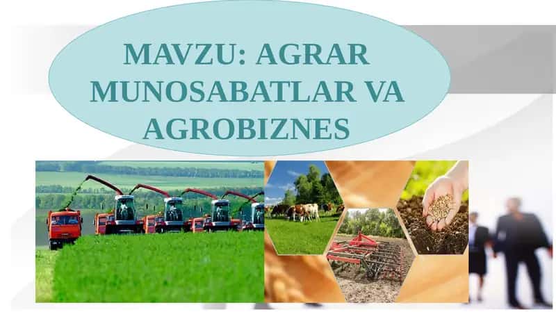 AGRAR MUNOSABATLAR VA AGROBIZNES