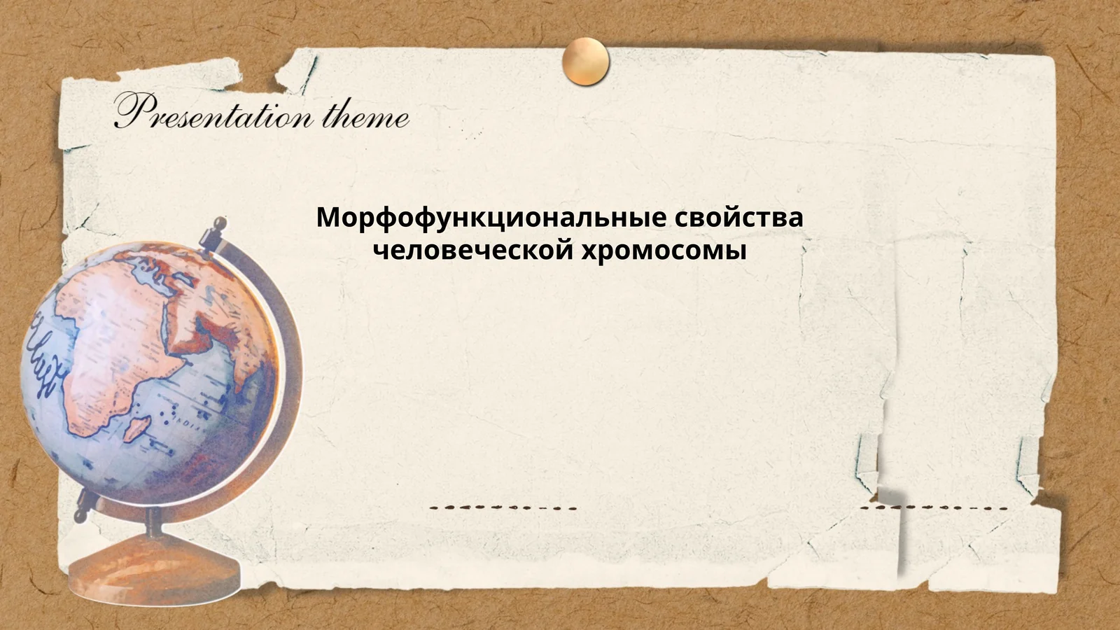 Морфофункциональные свойства человеческой хромосомы