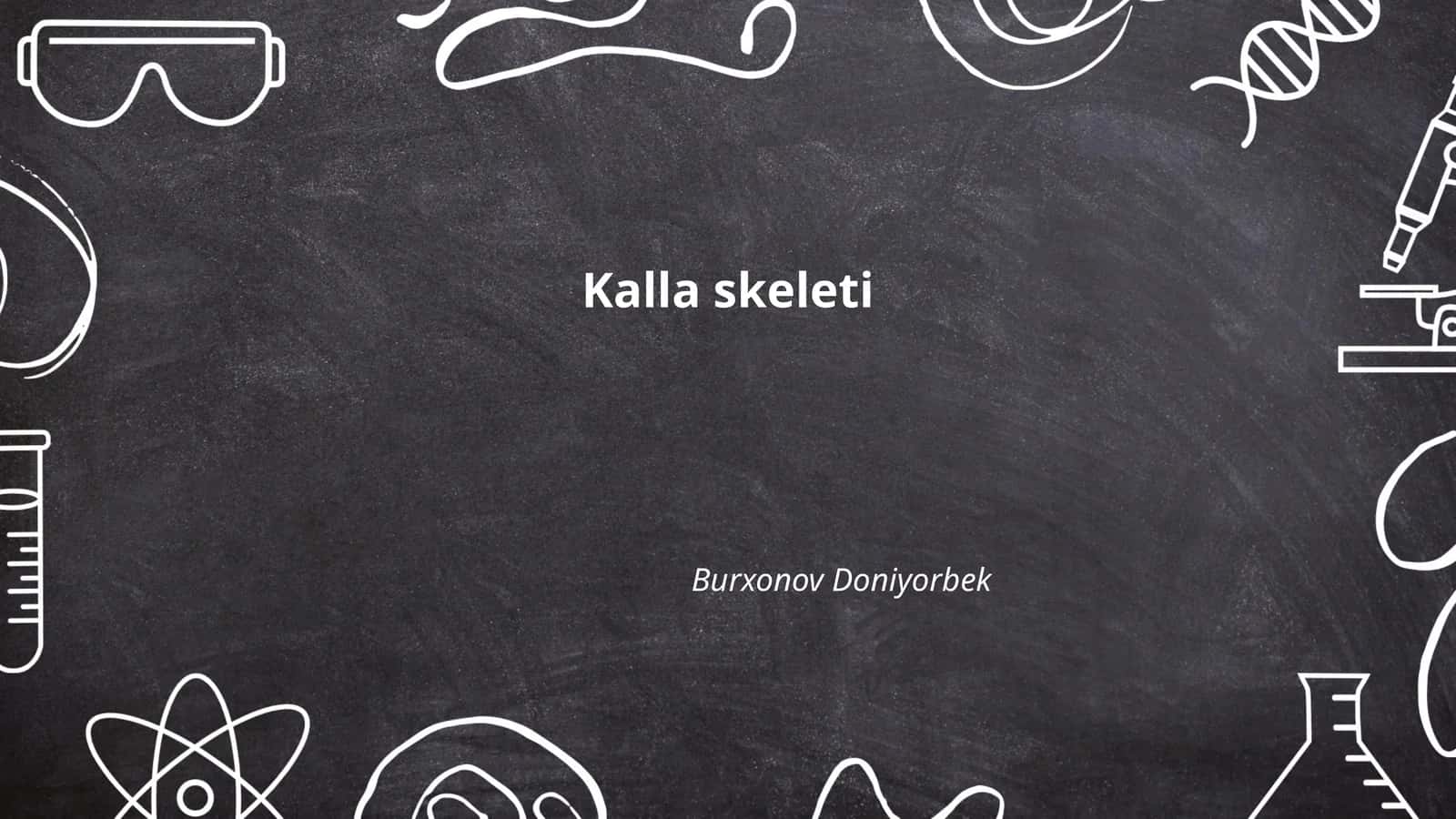 Boshsuyak anatomiyasi