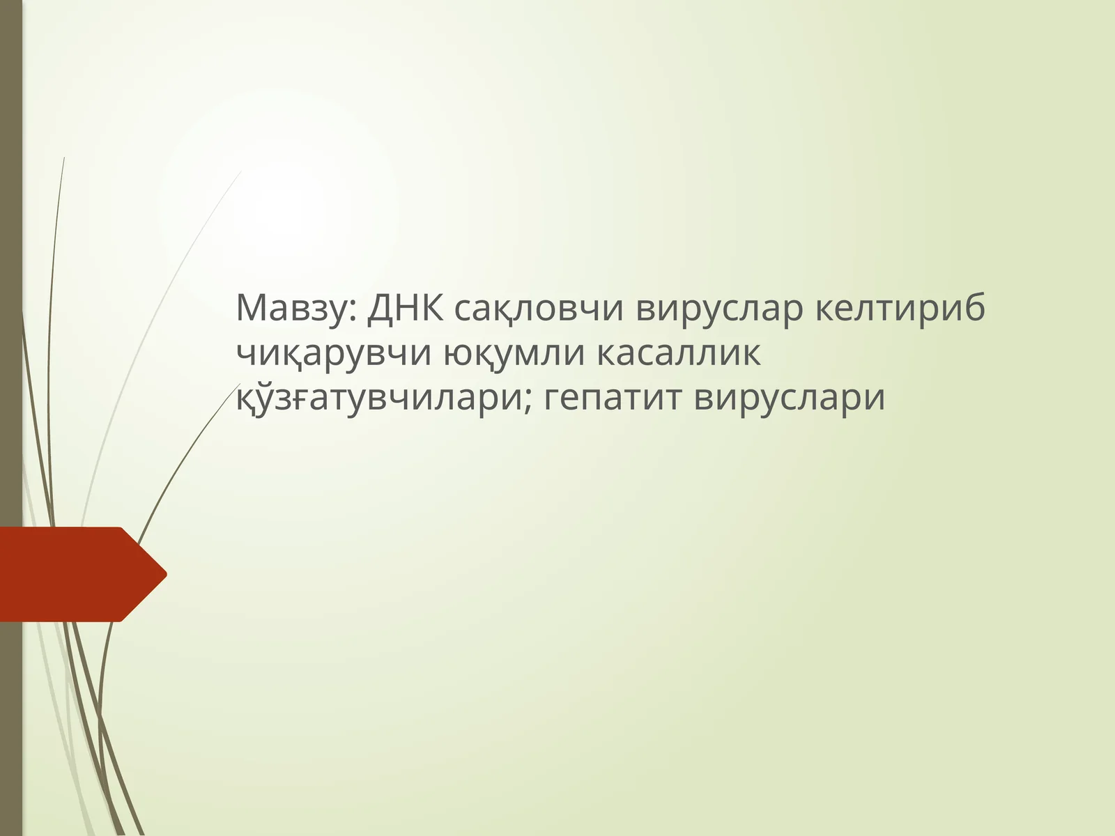 ДНК сақловчи вируслар келтириб чиқарувчи юқумли касаллик қўзғатувчилари; гепатит вируслари