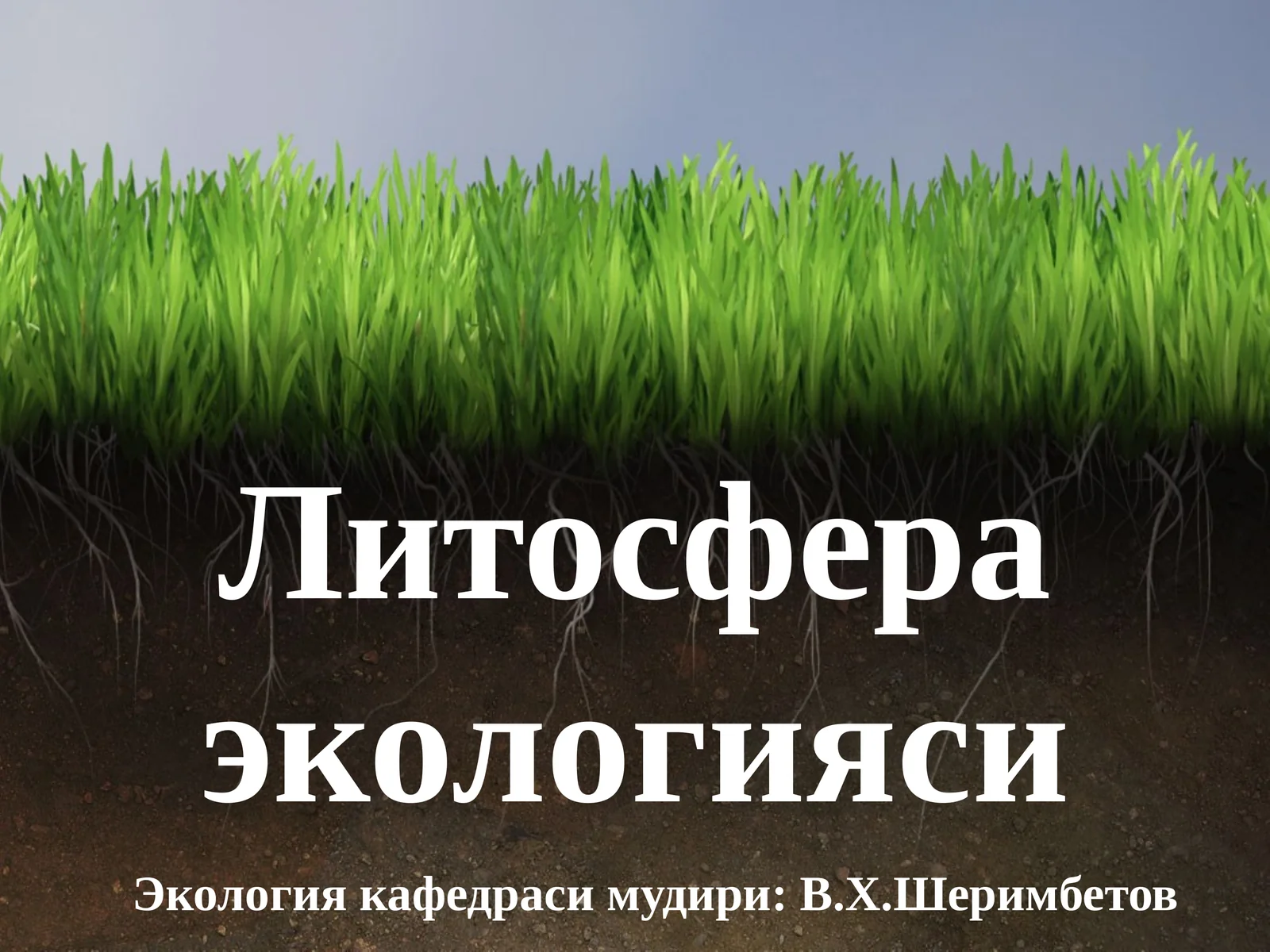 Литосфера экологияси