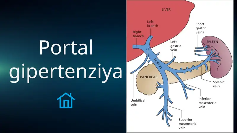 Portal gipertenziya sindromi