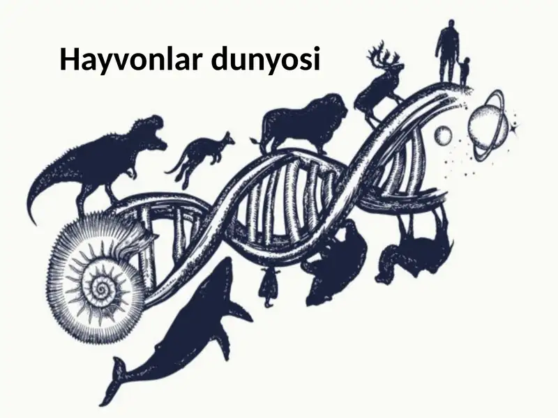 Hayvonlar dunyosi