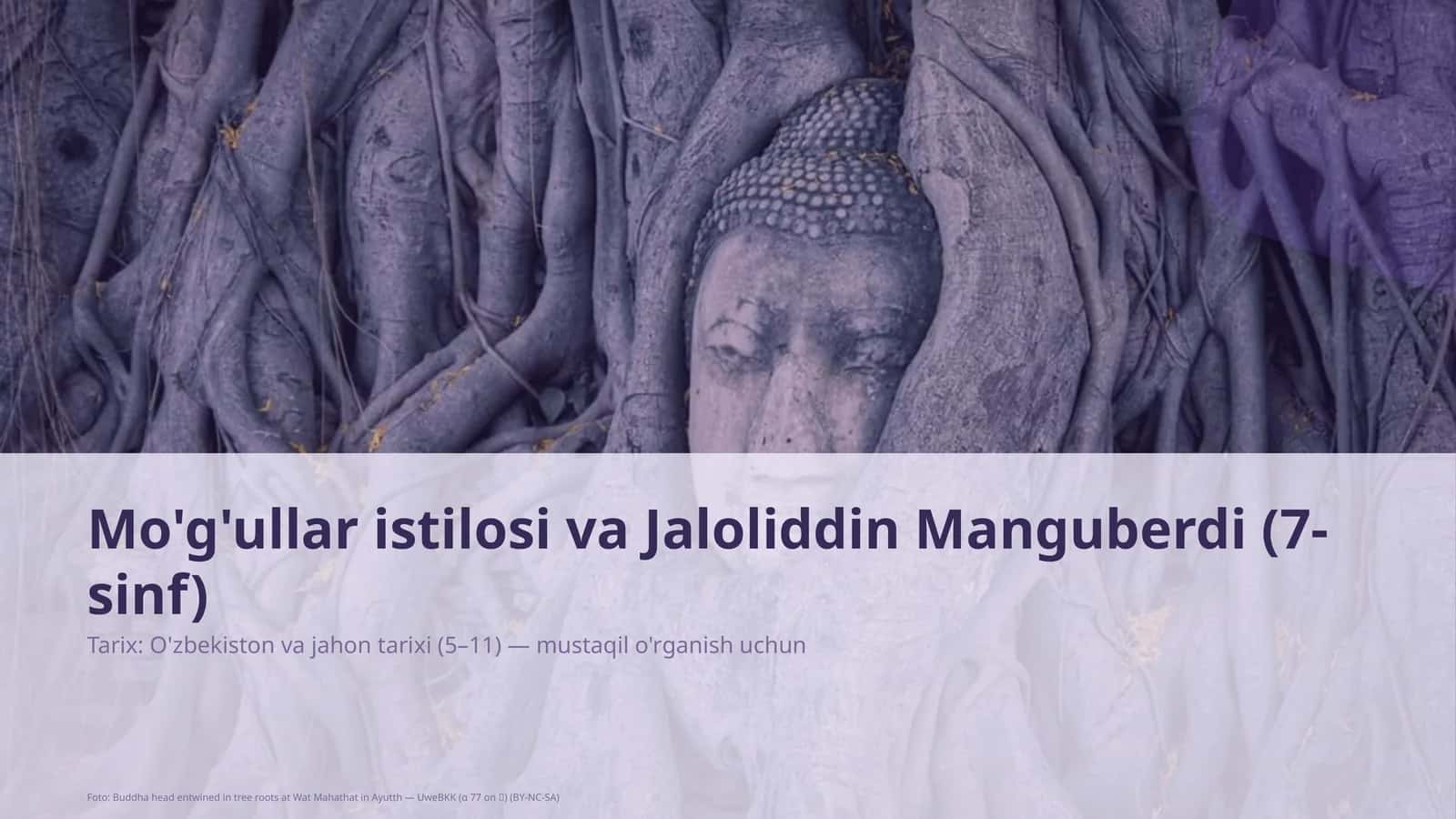 Mo'g'ullar istilosi va Jaloliddin Manguberdi (7-sinf)