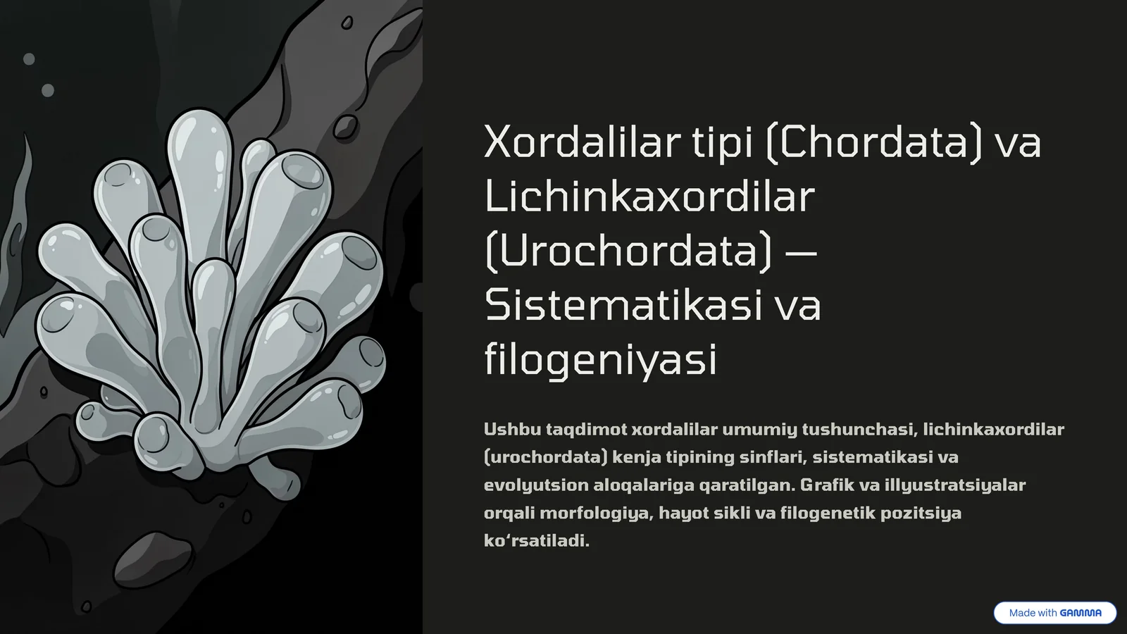 Xordalilar tipi (Chordata) va Lichinkaxordilar (Urochordata) - Sistematikasi va filogeniyasi