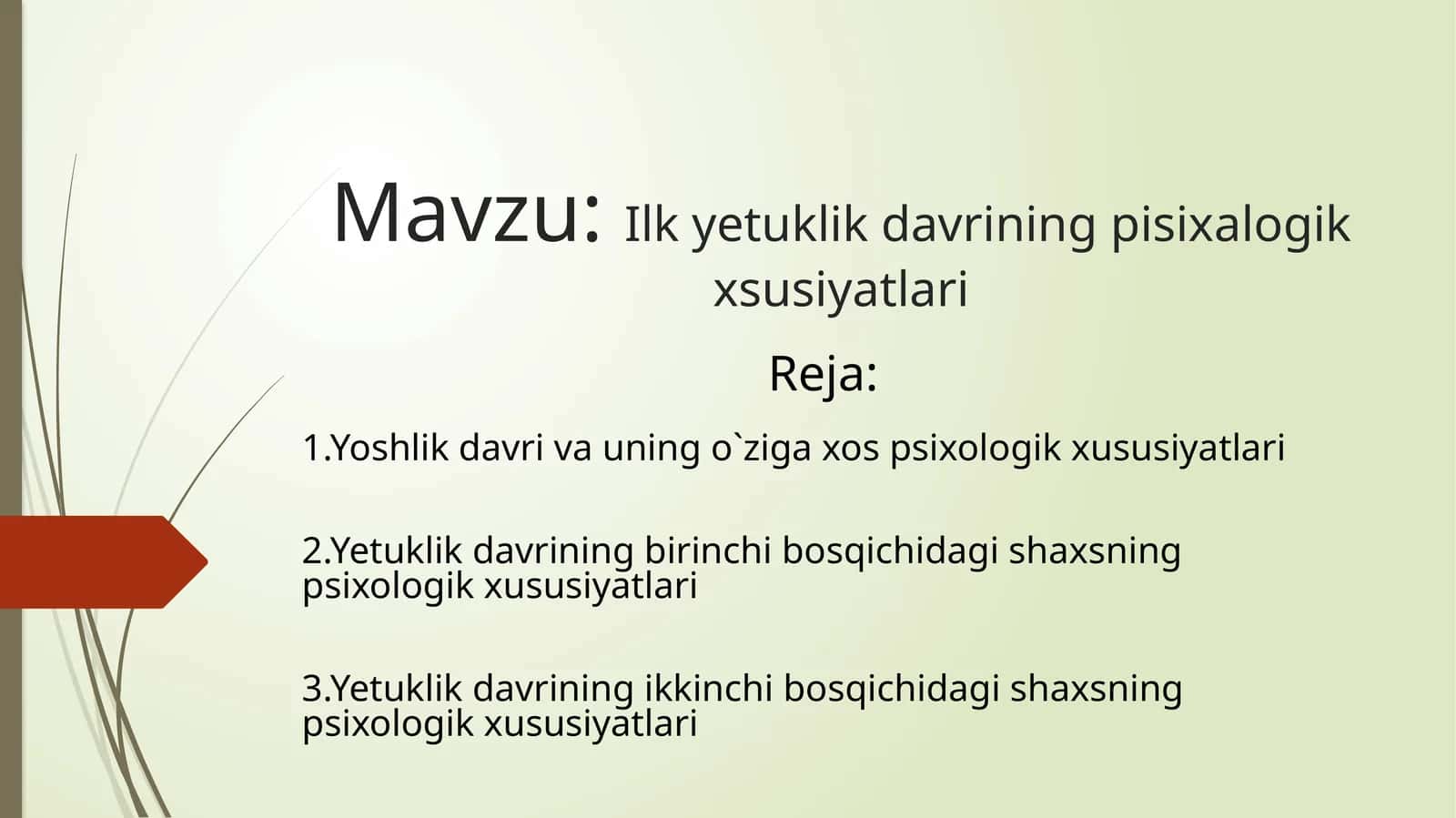 Ilk yetuklik davrining pisixalogik xsusiyatlari