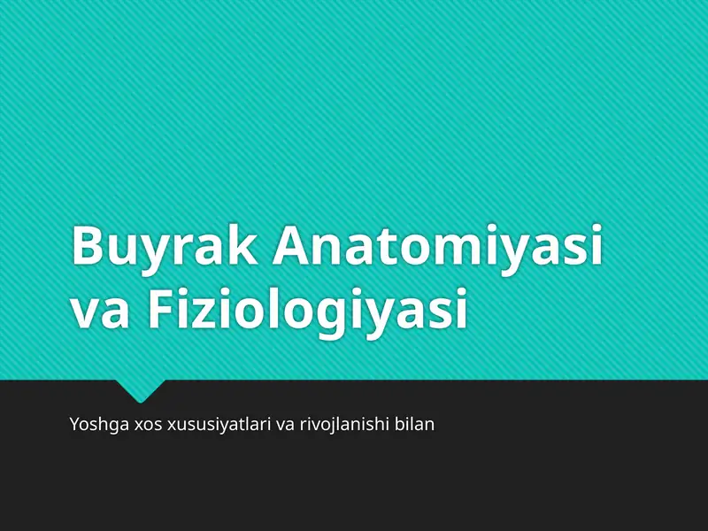 Buyrak Anatomiyasi va Fiziologiyasi