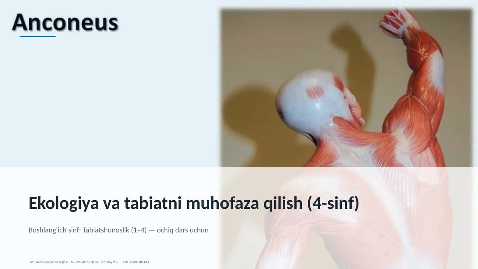 Ekologiya va tabiatni muhofaza qilish (4-sinf)