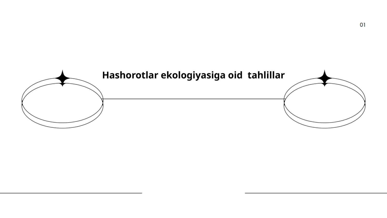 Hashorotlar ekologiyasiga oid tahlillar