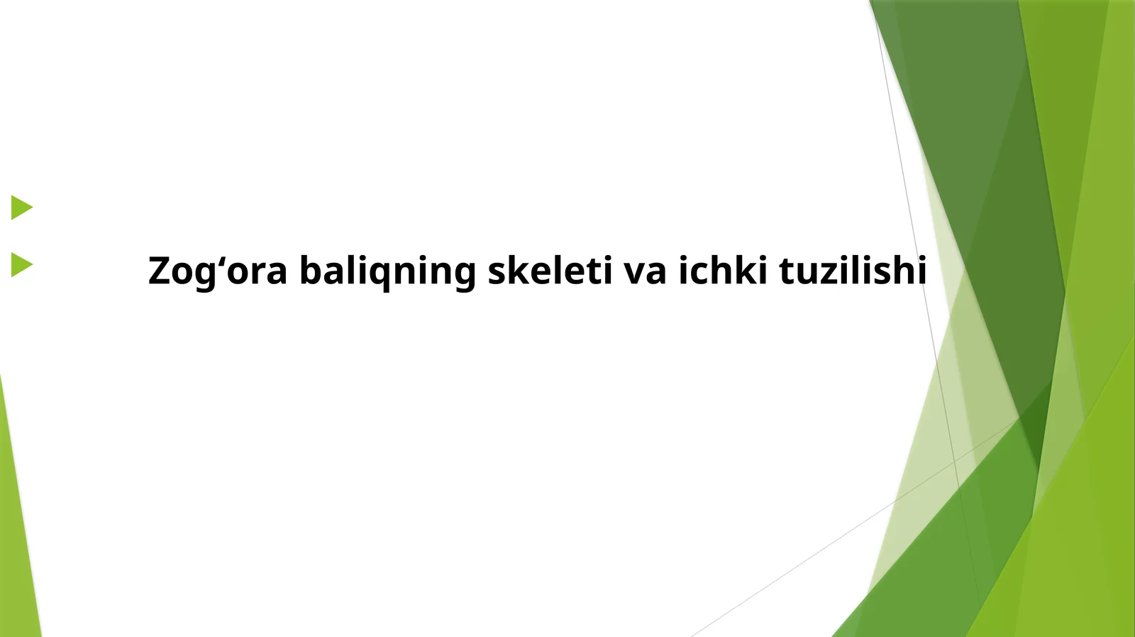 Zogʻorabaliqnings keleti va ichki tuzilishi