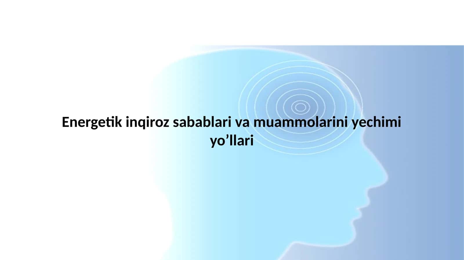 Energetik inqiroz sabablari va muammolarini yechimi yo’llari