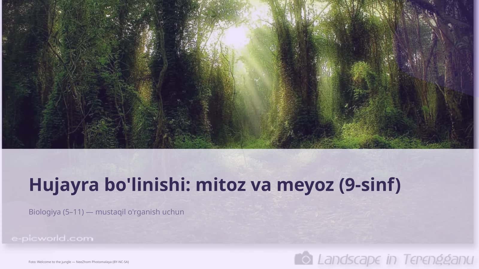 Hujayra bo'linishi: mitoz va meyoz (9-sinf)