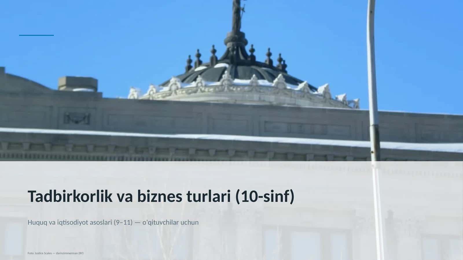 Tadbirkorlik va biznes turlari (10-sinf)