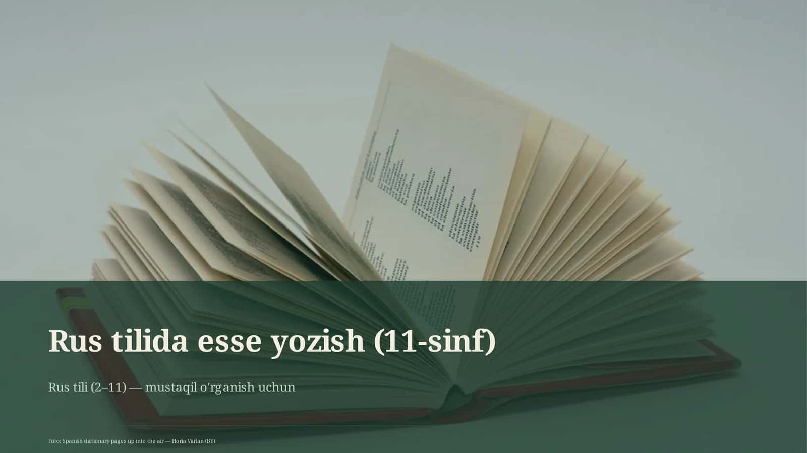 Rus tilida esse yozish (11-sinf)
