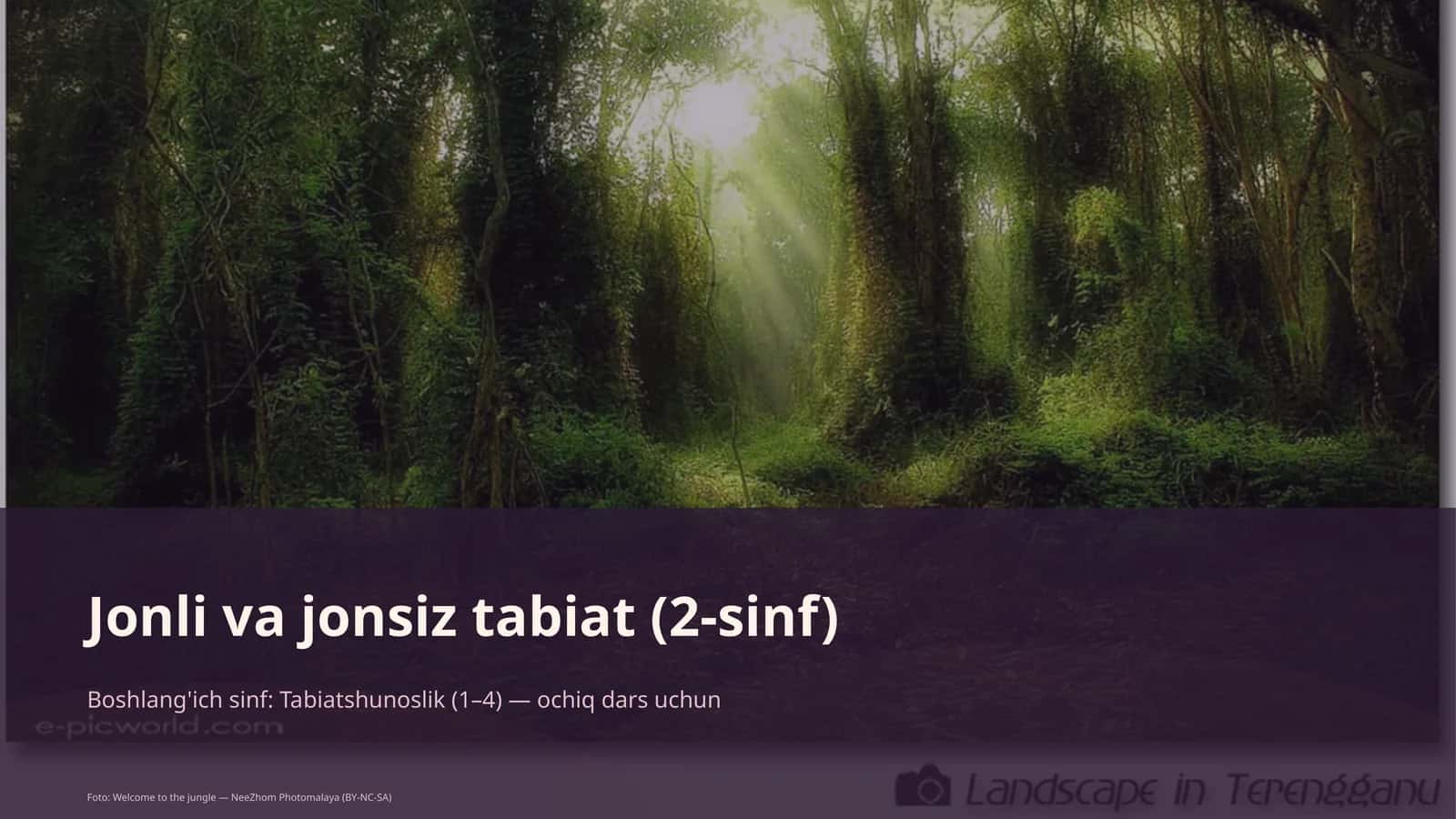 Jonli va jonsiz tabiat (2-sinf)