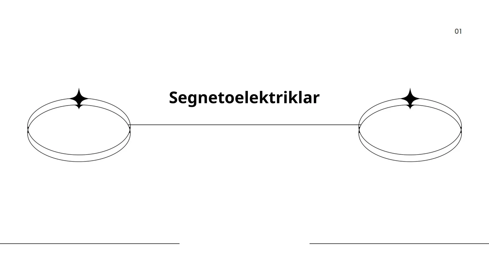 Segnetoelektriklar