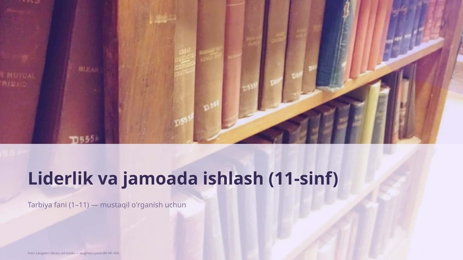 Liderlik va jamoada ishlash (11-sinf)