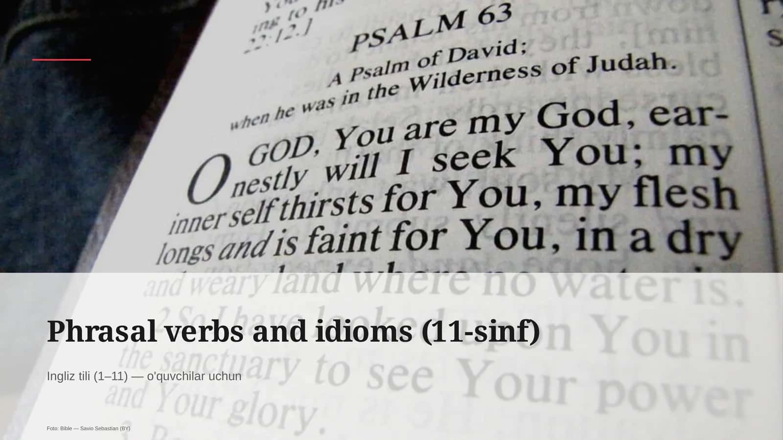 Phrasal verbs and idioms (11-sinf)