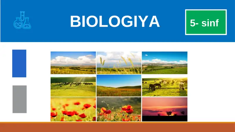 BIOLOGIYA 5-sinf MUSTAHKAMLASH
