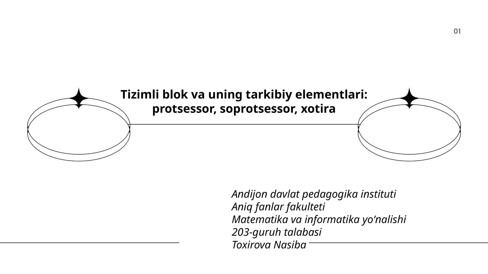 Matematika va informatika yoʻnalishi 203-guruh talabasi