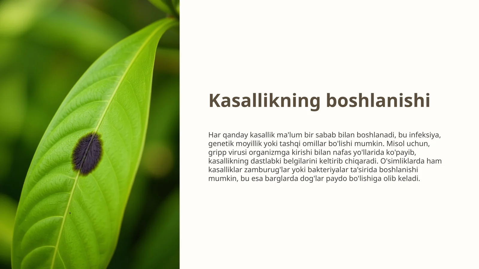 Kasallikning boshlanishi