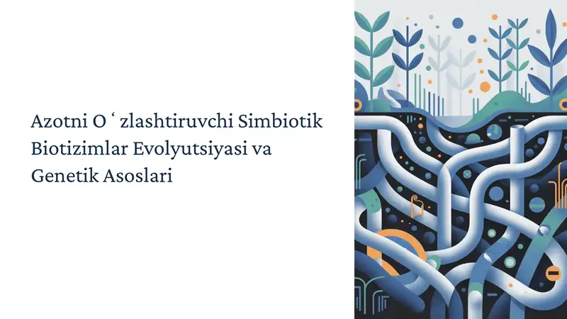 Azotni Oʻzlashtiruvchi Simbiotik Biotizimlar Evolyutsiyasi va Genetik Asoslari