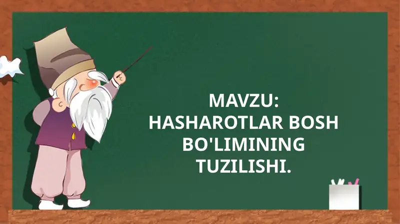 HASHAROTLAR BOSHBO'LIMINING TUZILISHI