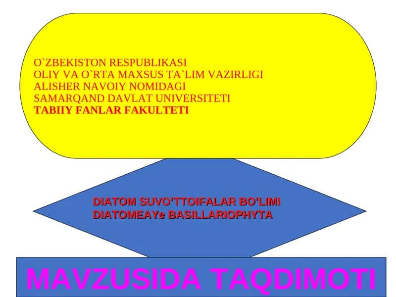 DIATOM SUVO’TTOIFALAR