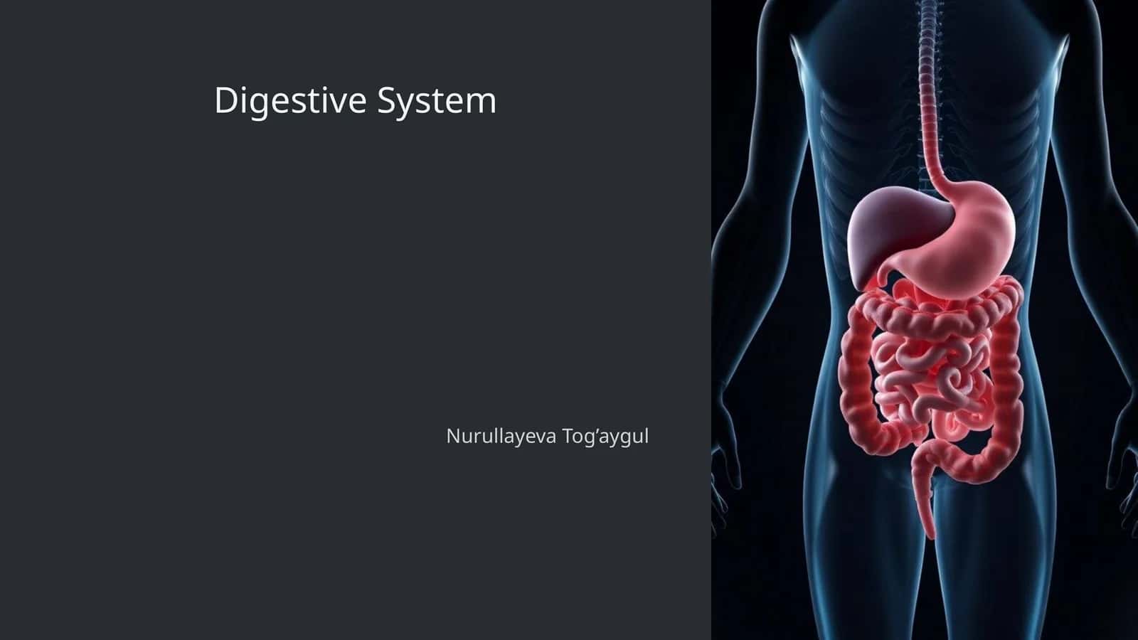 Digestive System
