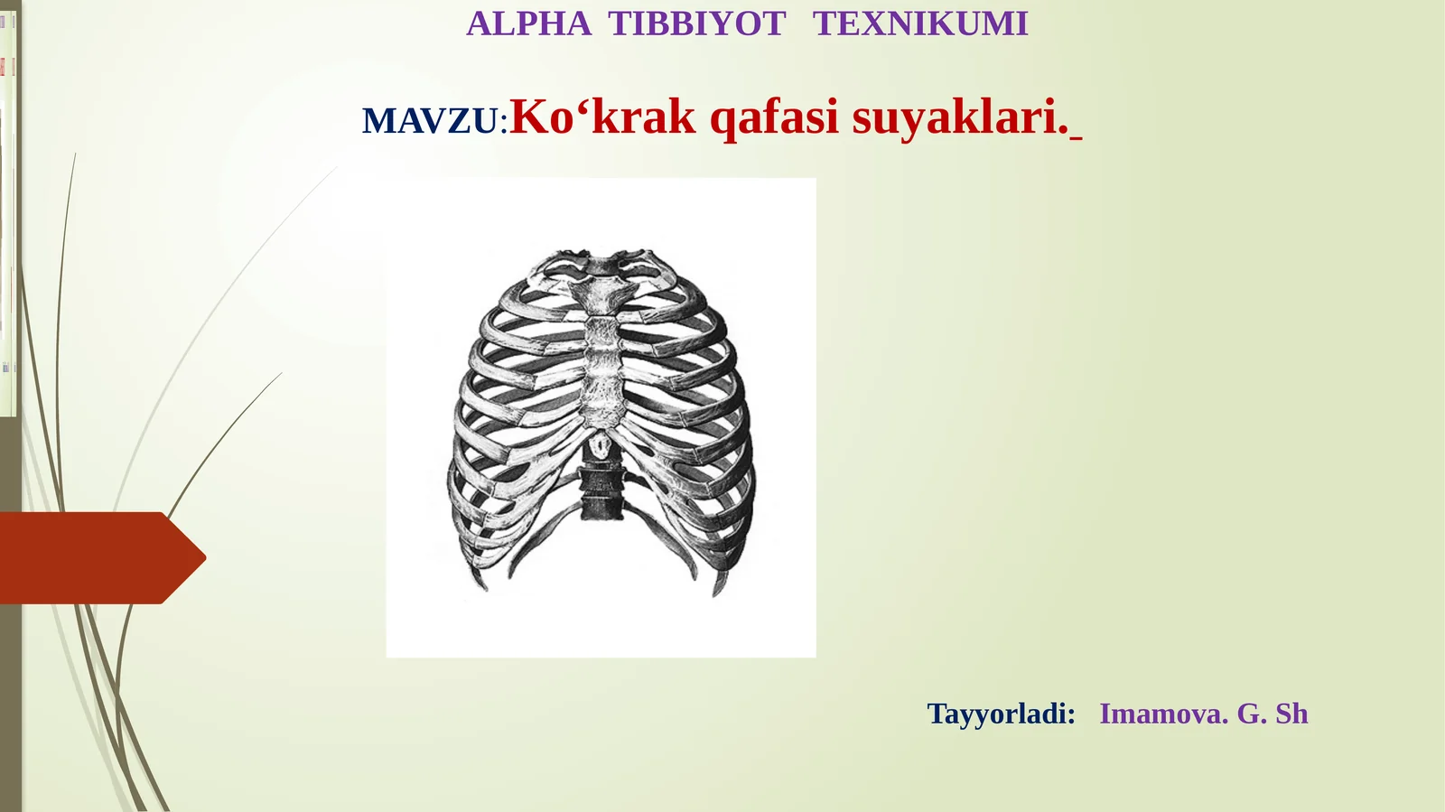 Ko‘krаk qаfаsi suyaklari