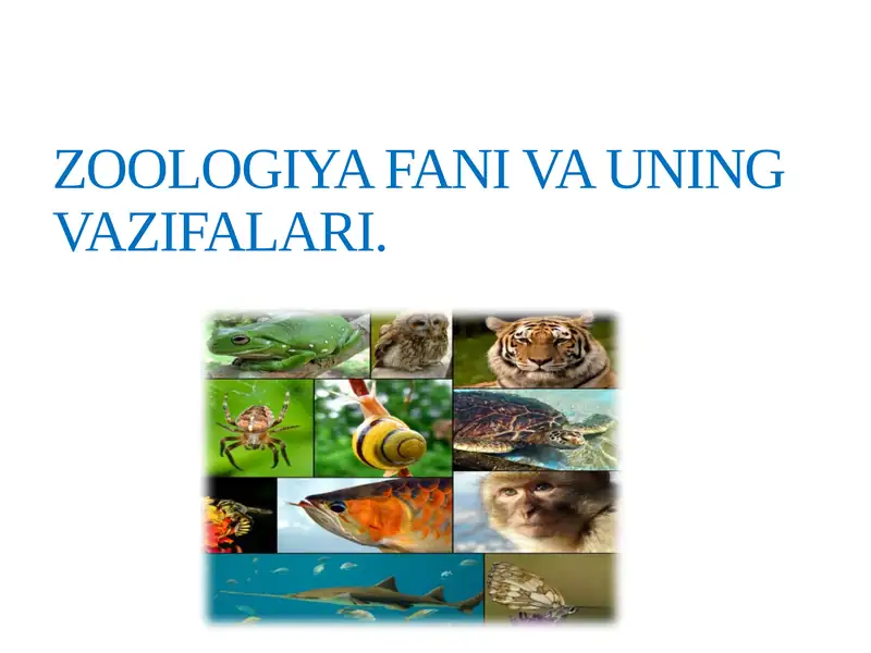 ZOOLOGIYA FANI VA UNING VAZIFALARI