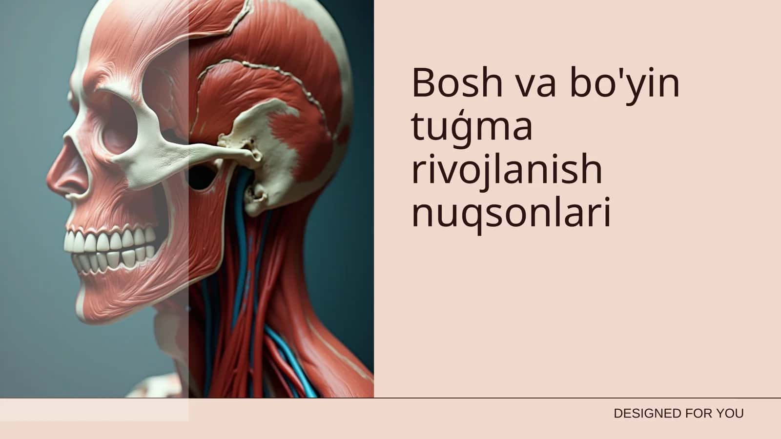 Bosh va bo'yin tuģma rivojlanish nuqsonlari