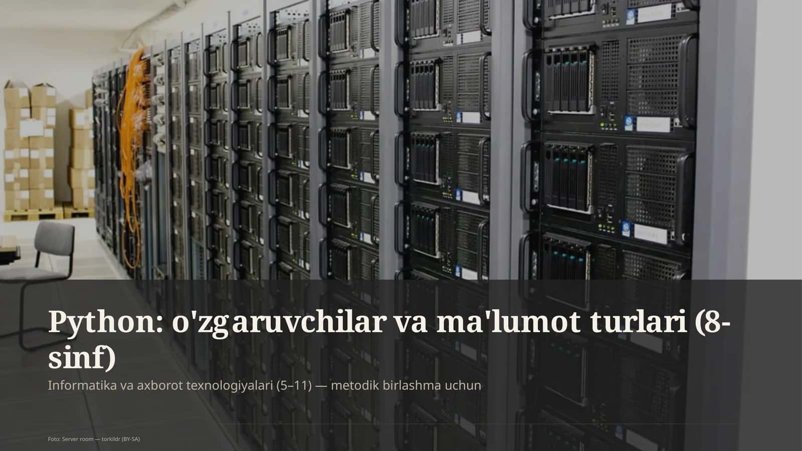 Python: o'zgaruvchilar va ma'lumot turlari (8-sinf)