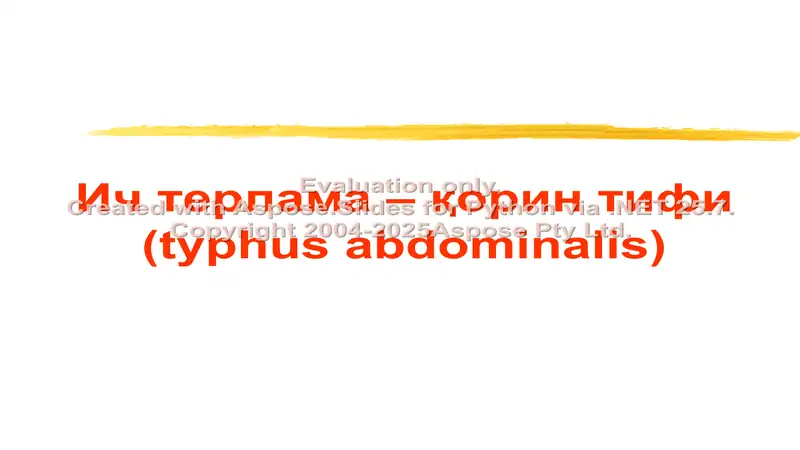 Қорин тифи (Typhus abdominalis)