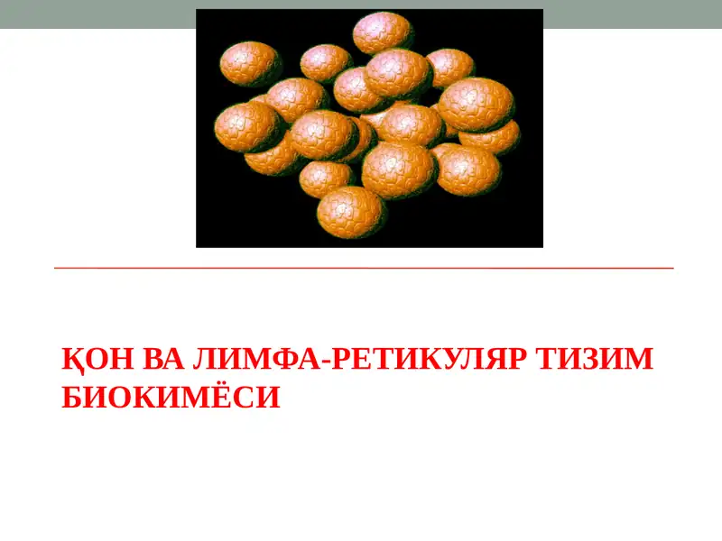 Қон ва лимфа-ретикуляр тизим биокимёси.