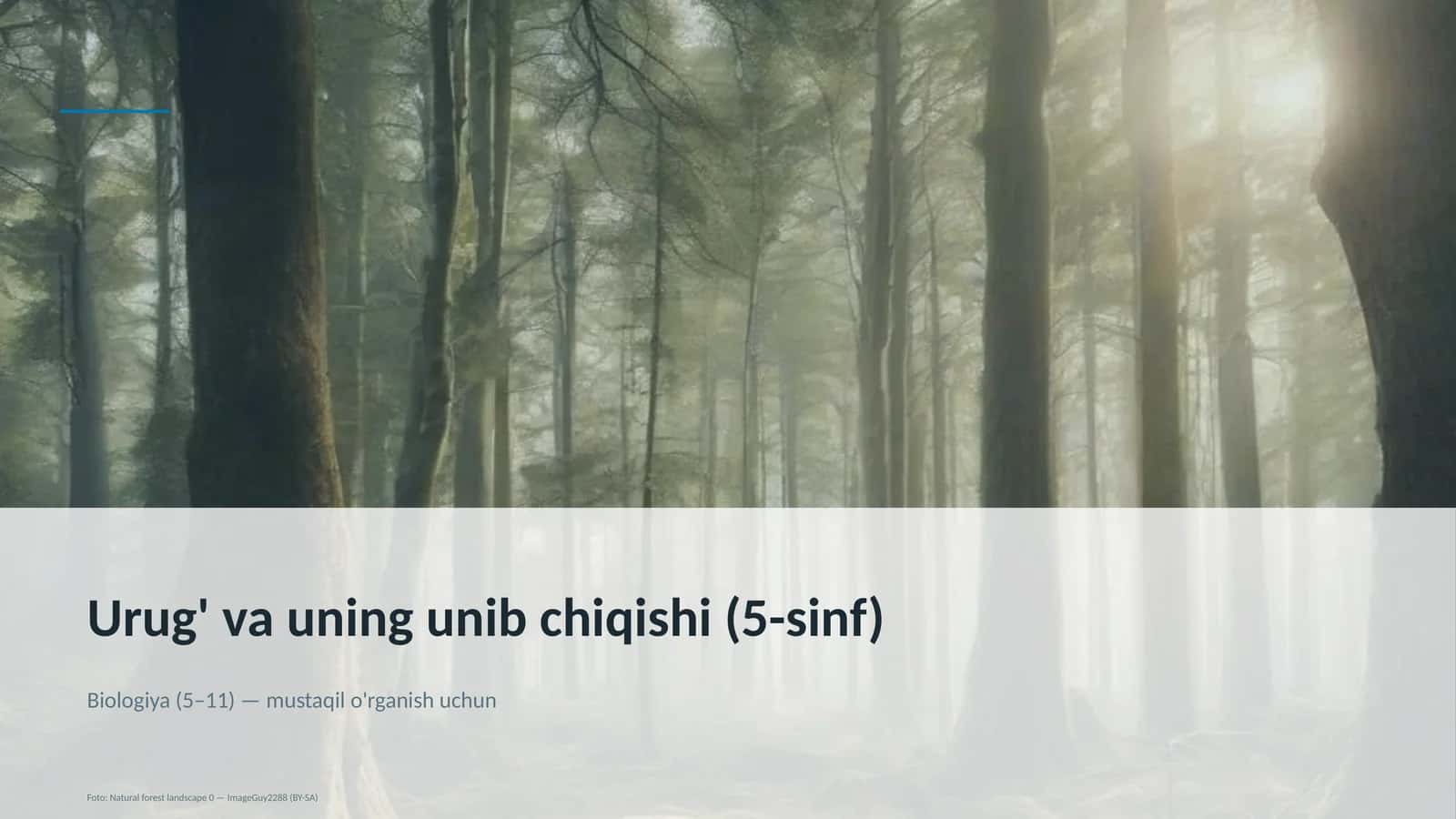 Urug' va uning unib chiqishi (5-sinf)