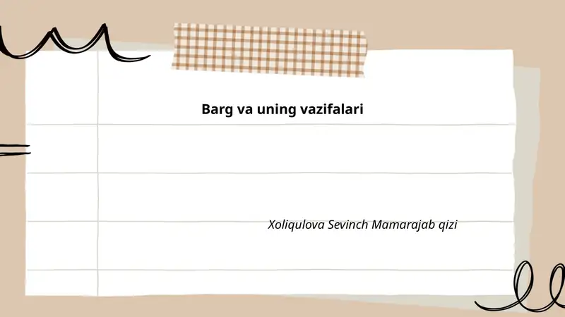 Barg va uning vazifalari