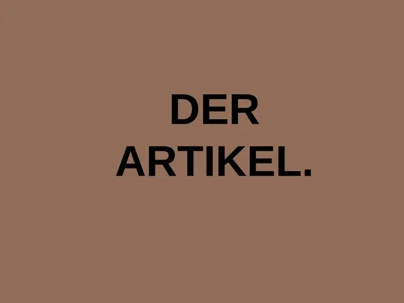 DER ARTIKEL